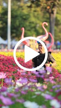 BIB:  <button type="button" onclick="openModal(27583308)" class="btn btn-primary btn-sm float-right" data-toggle="modal" data-target=".modal-high-quality">
                <i class="fa fa-download"></i> Download
                </button>